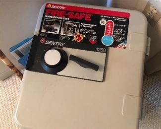 Sentry Safe