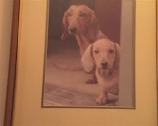 Framed photo of dogs.