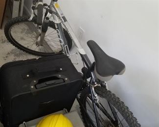 Bicycle, luggage, hard hats