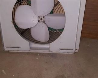 Fan