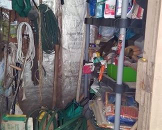 Contents of Shed