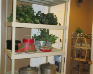 STORAGE CABINET, GREENERY, AND KITCHEN ITEMS