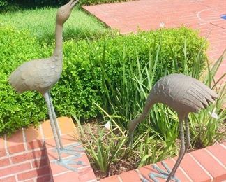 beautiful egrets for the yard