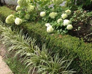 The gardens are beautiful!