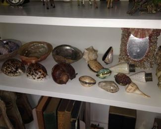 More shells