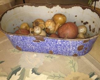 Variety of gourds