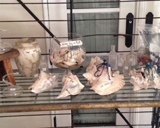Variety of shells