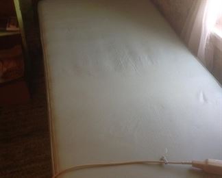 Twin electric bed....raises and lowers both the head and foot end. Similar to a hospital bed. $100 presale