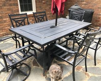 Nice patio table, umbrella and chairs.  Cat not for sale!
