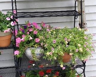 Outdoor Flowers and Metal Plant Stand/Baker's Rack