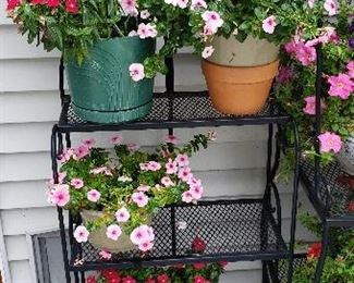 More Outdoor Flowers and Metal Plant Stand