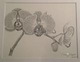 Orchid - Stippling Pen & Ink by Cassandra Durpere