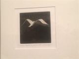 "North by Northwest" Mezzotint of seabird at night by John Klingler