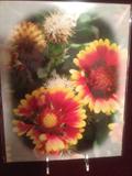 "Red & Yellow" matted 11 X 14 Photo