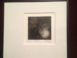 "Beacon" Mezzotint of Moth and Light by John Klingler