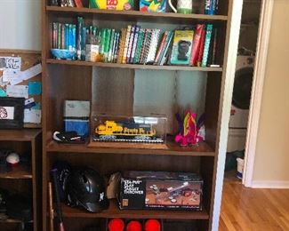 a bookcase full of things you need. Those are skeet targets?