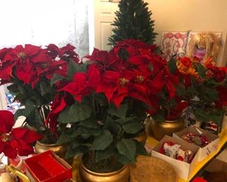 Poiknsettias! (Which is how you spell "poinsettias" after 2 glasses of wine!)