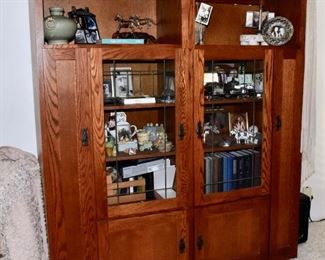 Large Bookcase / Display Cabinet