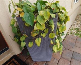 Outdoor Planter-Plants sold separately