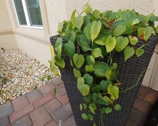 Outdoor Planters, Vinyl Wicker Style-Plants Sold Separately