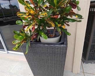 Outdoor Planter-Plants sold separately