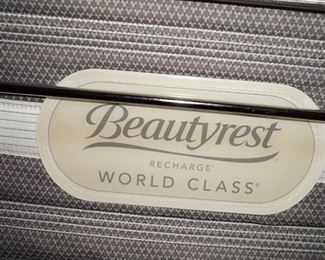 Beautyrest Recharge mattress.  Looks to retail at about $700