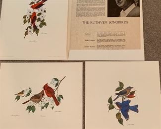 The Ruthven Songbirds prints