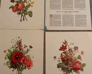Jean Louis Prevost floral prints