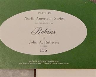 Robins by John A Ruthven 