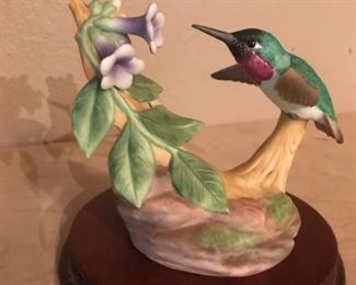 ruby throated hummingbird on purple flowers (Andrea by Sadek)