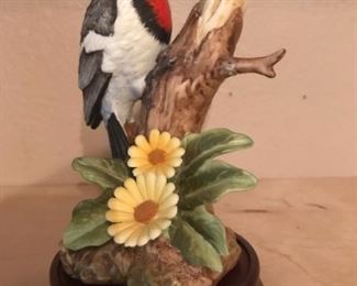 downy woodpecker (Andrea by Sadek)