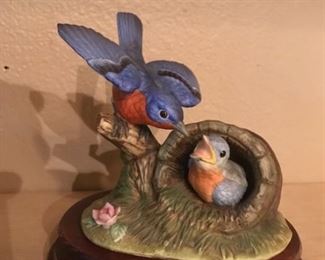 bluebird family (Andrea by Sadek)