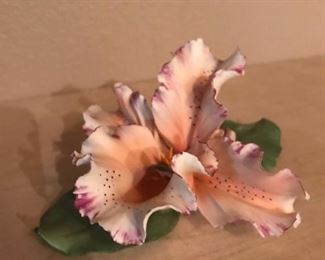 Capodimonte pink orchid 