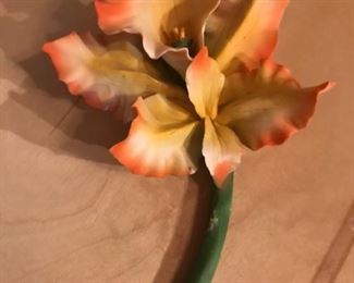 Capodimonte orchid (orange edge)