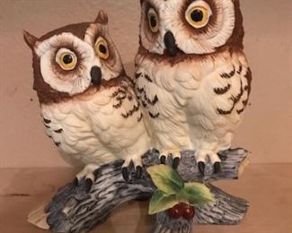 double owls (Andrea by Sadek)