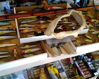 Lots of fishing lures, sharks jaw