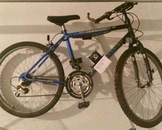 Road Master Bike