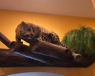 Stuffed jaguar!