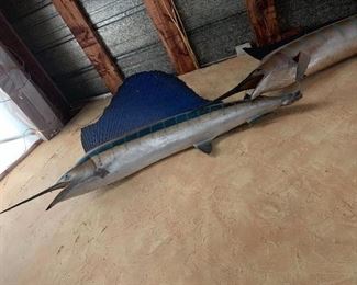 Taxidermy Sailfish