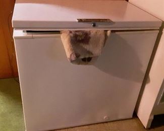 CHEST FREEZER