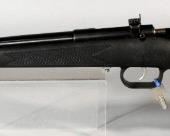 KSA Inc Model Crickett .22LR Bolt Action Rifle SN# 81320