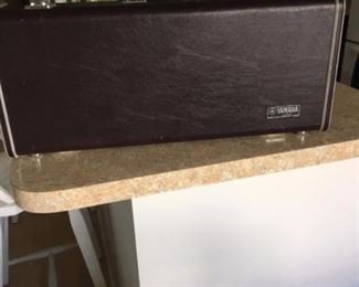hard case for alto sax