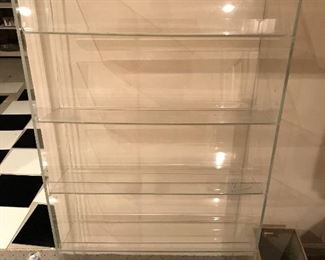 Acrylic shelving unit.