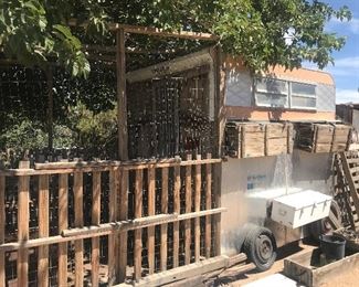 Chicken Coop