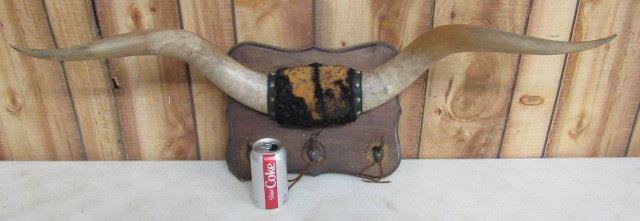 Wall Horns w/Hat Hooks
