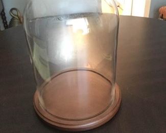 Glass Display Dome https://ctbids.com/#!/description/share/207460