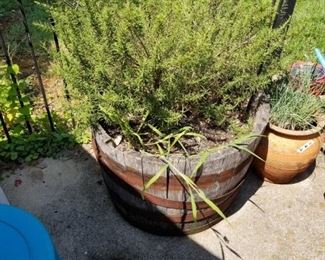 #33 barrel planter $45.00