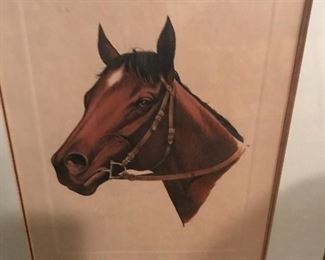 Canonero 1971 Kentucky Derby Winner