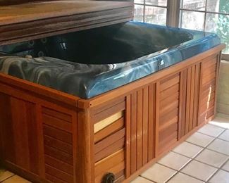 Hot tub! Needs new motor, but is very clean. 