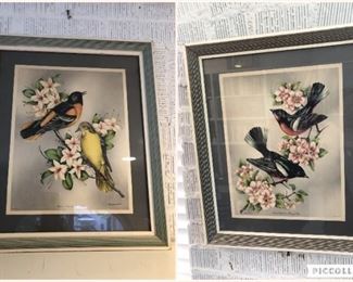 Framed Picturs Collage